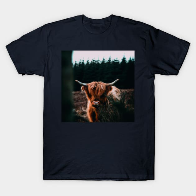 Scottish Highland Cattle Oil Painting T-Shirt by Souls.Print